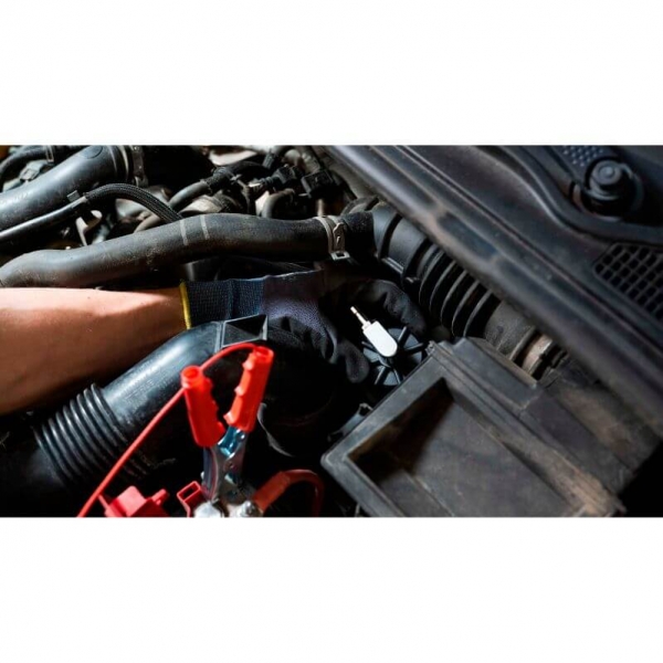 Electronic brake bleeding system PRO BLEEDER (20L) | Baltic Diag