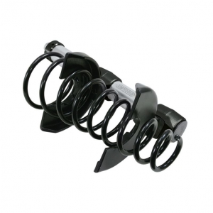 Universal spring compressor set, 6 pcs KS Tools | Baltic Diag