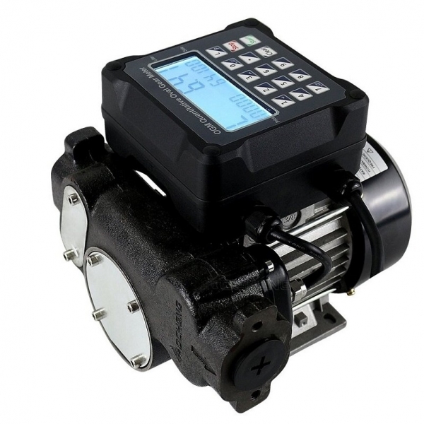 Diesel transfer pump with digital meter 220V