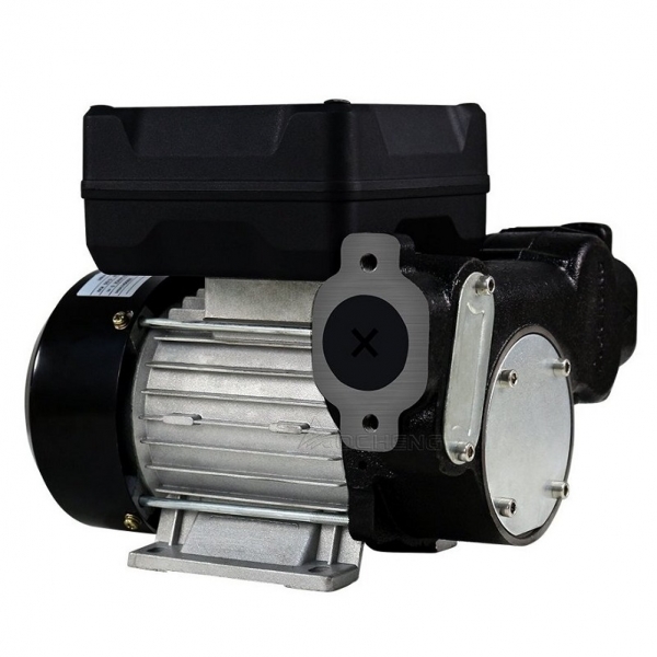 Diesel transfer pump with digital meter 220V | Baltic Diag