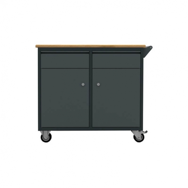 Mobile Workbench with 2 Drawers and 2 Doors for Workshops | Baltic Diag Mobile Workbench with 2 Drawers and 2 Doors for Workshops | Baltic Diag