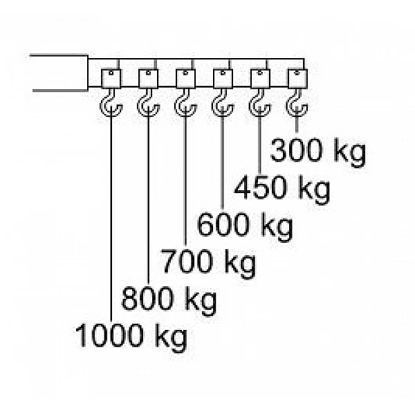 Hidrauliskais celtnis CC10, 1000 kg